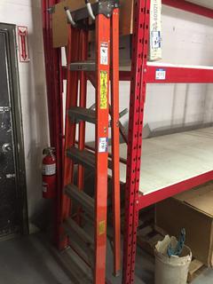 6' Ladder.