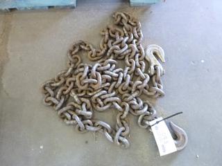 16' Chain w/ Hooks, 1/2". 