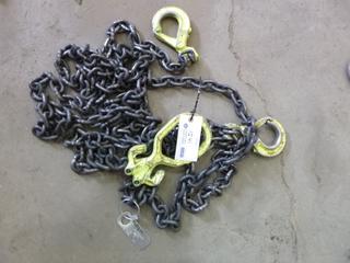 2 Leg Chain Sling, 17' Per Leg. 