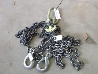 2 Leg Chain Sling, 17' Per Leg. 