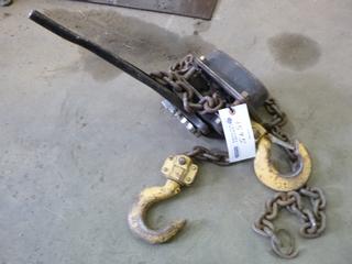 3 Ton Chain Lever Hoist. 