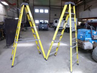 (2) 8' Featherlite Ladders. 