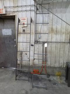 (2) Custom Sliding Metal Ladders. 