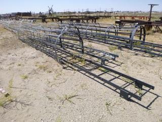 (2) Ladder w/ safety cage. (1) w/ wire guide, approx 216" long. (1) no guide, approx 312" long