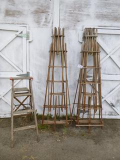 Qty Of Wooden Trellises C/w 3-Step Wooden Ladder