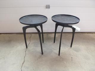(2) 15in X 22in Metal Plant Stands
