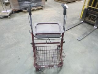 (1) Free Spirit Walker with Hand Brakes, S/N 100421 (H)