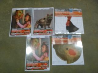 Qty of Champion Targets: (2)  Zombie Visicolor Hostage Target, Size 12 In. x 18 In., Package of 6, (1) Zombie Attack Variety Target, Size 12 In. x 18 In., Package of 6, and (2) Re-Stick Targets, Size 16 In. x 15.75 In., Package of 25 Sheets (Upstairs)