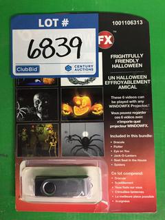 (2) Window FX Halloween USB Flash Drives.