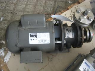 WEG Magnetic Drive Pump. Model MMH11-R25X64.