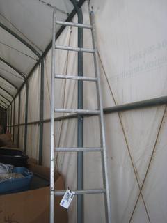 10 Ft. Aluminum Ladder.