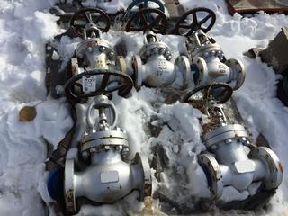 (5) Miscellaneous Valve 3" 300#.