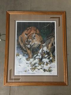 Framed Cougar Print 26" x 21 1/2".