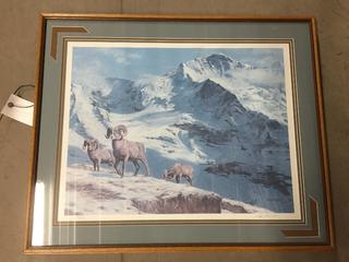 Framed Mountain Range Print 26" x 31".