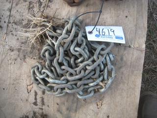 Single Chain.