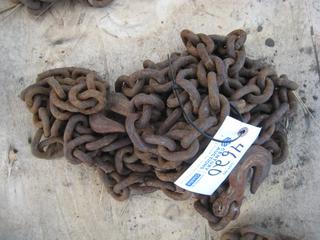 Single Chain w/Hooks.