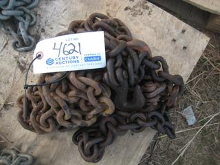 Single Chain w/Hooks.