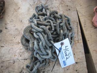 Single Chain w/Hooks.
