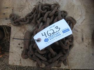 Single Chain w/Hooks.