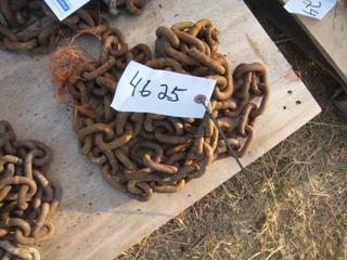 Single Chain w/Hooks.