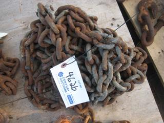 Single Chain w/Hooks.