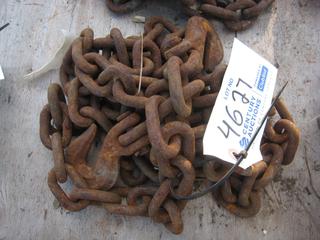 Single Chain w/Hooks.