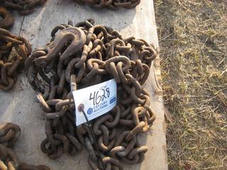 Single Chain w/Hooks.