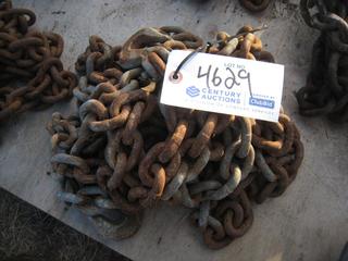Single Chain w/Hooks.