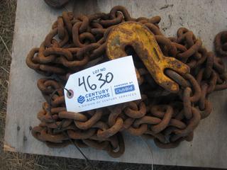 Single Chain w/Hooks.
