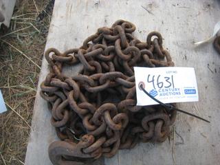 Single Chain w/Hooks.