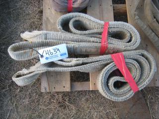 (2) 4" Nylon Slings.