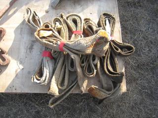 2" Nylon Slings.
