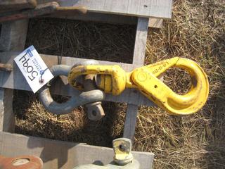 Lifting Hook w/Shackle.