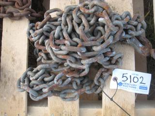 Single Chain w/Hooks.