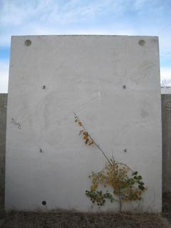 (3) Concrete Septic Tank Lids. 7'10"x9'2" & 4" Thick.