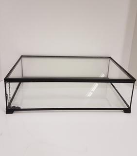 Lead Frame & Clear Glass Lidded Display Box (16.5"W x 10.5"L x 5.5"H)