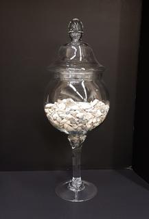 Glass Lidded Apocathery on Pedestal with Sea Shells (9"R x 26"H)