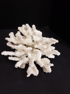 Faux White Coral (6"W x 5"L x 4"H)