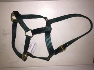 Quantity of Nylon Halters.