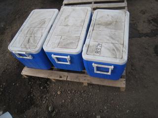Coleman Ice Chests.