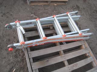 Megalite Extension & Folding Ladder.
