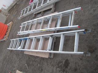 Aluminum Extension Ladder, 10'. Crushed 10' Ladder.