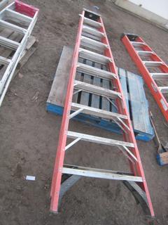 Werner Fiberglass Ladder. 10'.