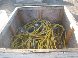 Crate of Industrial String Lights.