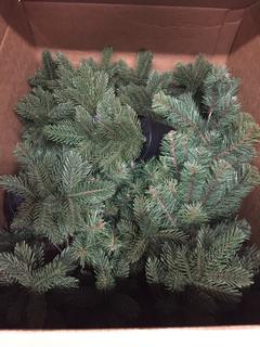 Quantity of Table Top Christmas Trees.