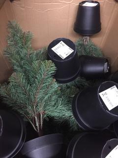 Quantity of Table Top Christmas Trees.