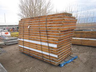 Full Size Hockey Rink. c/w Boards, Plexi Glass, Lights.