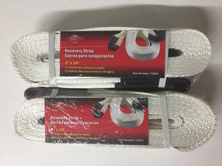 (2) 3" x 30' Recovery Straps.