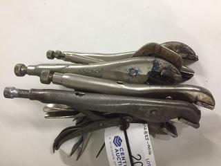 Quantity Of Misc. Pliers.