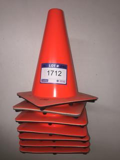 (7) Traffic Cones.